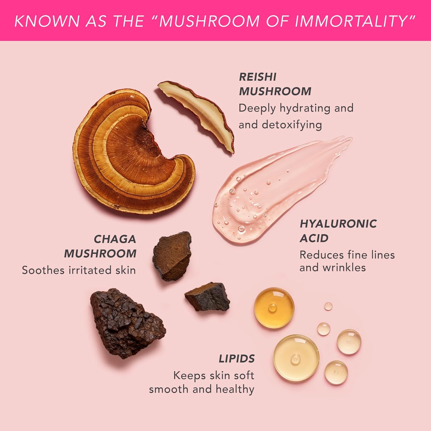 Doll Skin Genius™ Reishi Renewing Mushroom Milk – Hydrating Face Serum w/Reishi, Chaga & Lion’s Mane – Anti-Aging, Barrier Repair & Soothing Skincare for Dry, Sensitive or Mature Skin - 30 Day Supply